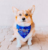 Cute corgi in The Bark is Strong Text add on for Bark Wars Star Wars Blue Dog Bandana made by Royal Collections and Co.