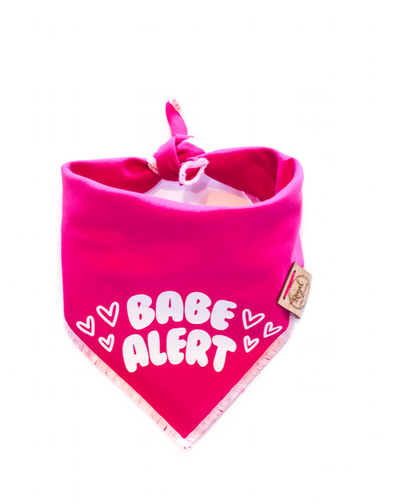Babe Alert Valentines Day Dog Bandana made by Royal Collections and Co.