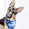 Cute German Shepard in Come to the bark side text add on for Bark Wars Star Wars Blue Dog Bandana made by Royal Collections and Co.