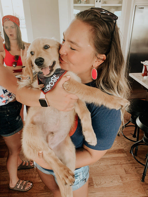 Cute Dog Mom and Golden Retriever Puppy In american stripes dog bandana made by royal collections and co. 