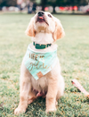 Cute Golden Retriever Dog in Metallic Mint Reversible Dog Bandana made by Royal Collections and Co.