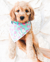 Cute Goldendoodle Dog in Royal Collections and Co Dog Bandana.png