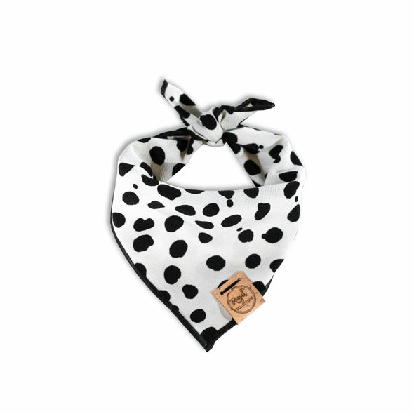 Dots for Days Dog Bandana made by Royal Collections and Co.
