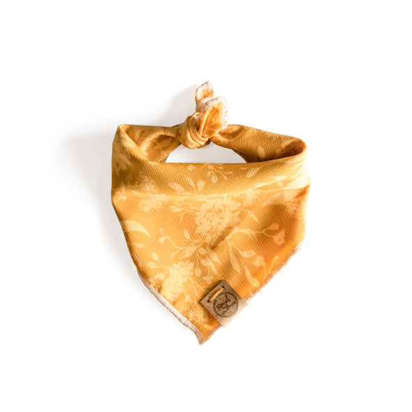 Harvest Dog Bandana made by Royal Collections and Co.