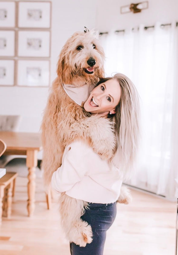 Dog Mom and Doodle Dog in Minimal Dog Mom Cropped Hoodie - Blush by Royal Collections and Co.