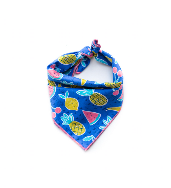 Picnic in the Park Summer Dog Bandana made by Royal Collections and Co.