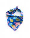 Picnic in the Park Summer Dog Bandana made by Royal Collections and Co.