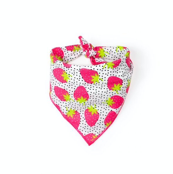 Strawberry Fields Summer Dog Bandana made by Royal Collections and Co.