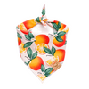 Summertime Sweetness Orange and Peach Dog Bandana made by Royal Collections and Co.