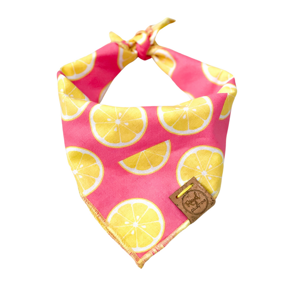 Pink Lemonade Summer Dog Bandana made by Royal Collections and CO.