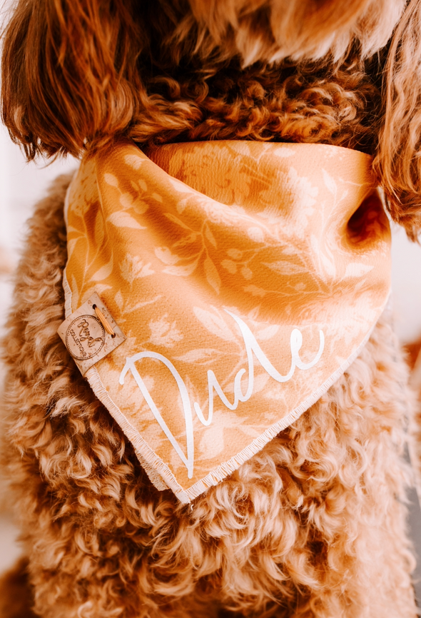 Up Close photo of Harvest Dog Bandana made by Royal Collections and Co. on Goldendoodle