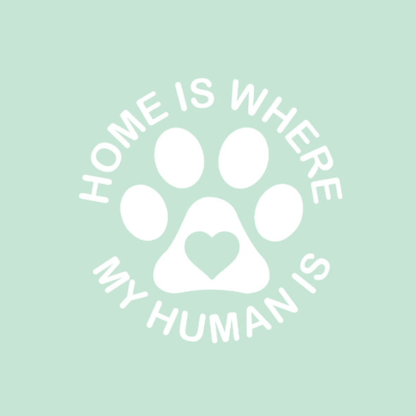 Home is Where My Human is